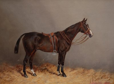 Marinaio da Henry Frederick Lucas Lucas