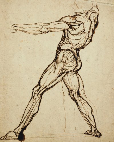 Un nudo che lancia da Johann Heinrich Füssli