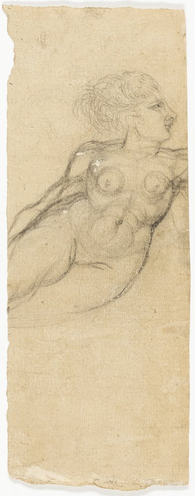 Studi di nudo da Henry Fuseli