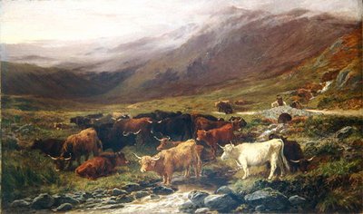 Mucche nelle Highlands da Henry Garland
