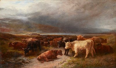Bovini delle Highlands in una Valle di Montagna da Henry Garland