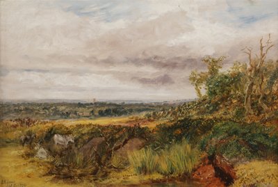 Paesaggio da Henry Harris Lines