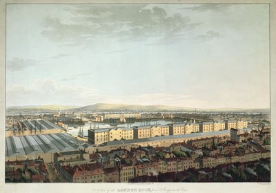 Veduta del London Dock da St. Georges-in-the-East, inciso da Daniel Havell, pub. da T. Clay, 1816 da Henry Haseler