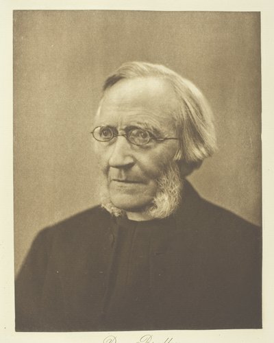 Il molto reverendo decano Bradley da Henry Herschel Hay Cameron