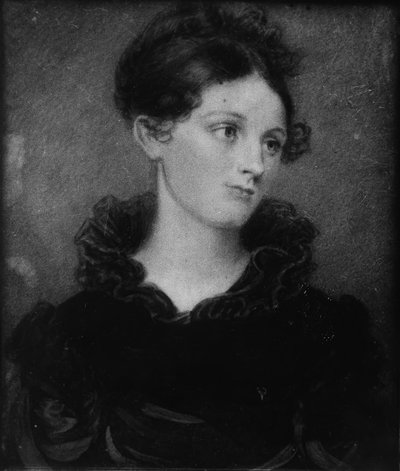 Ritratto di una signora da Henry Inman