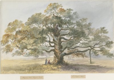 Blithfield - Quercia del Mendicante da Henry James Noyes