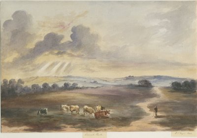 Cannock Chase - "Brughiera": acquerello, 1844 da Henry James Noyes