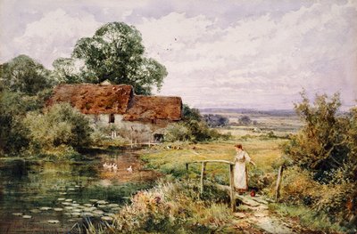 Guardando le Anatre da Henry John Sylvester Stannard