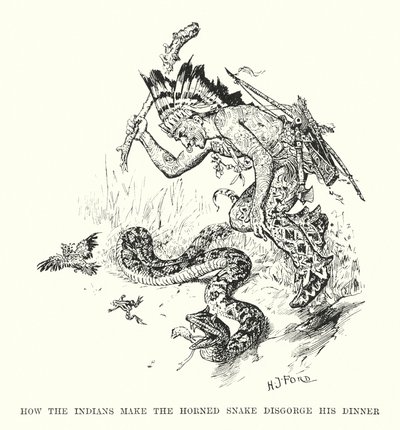 Come gli indiani fanno vomitare il serpente cornuto da Henry Justice Ford