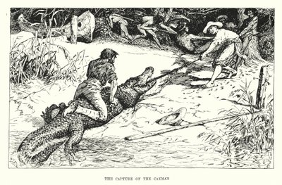 La cattura del caimano da Henry Justice Ford