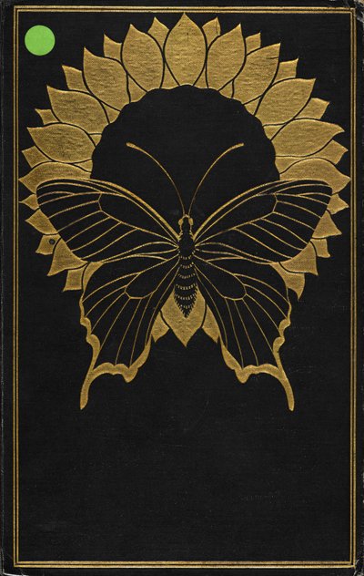 Copertina per 