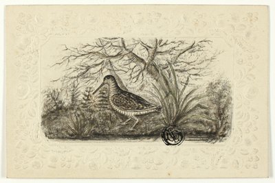 Gallo cedrone da Henry Lejeune