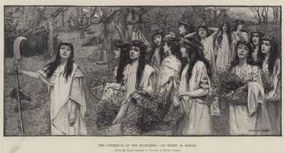 La Raccolta del Vischio da Henry Meynell Rheam