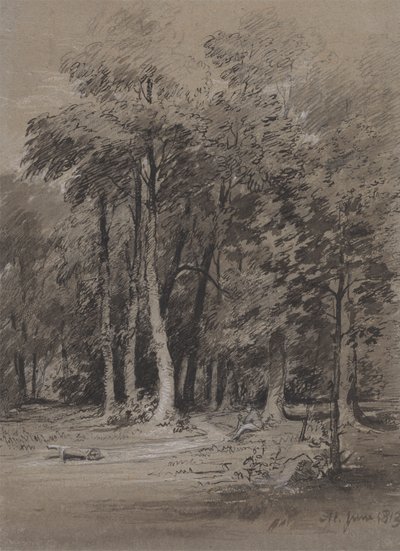 Un sentiero boscoso da Henry Monro