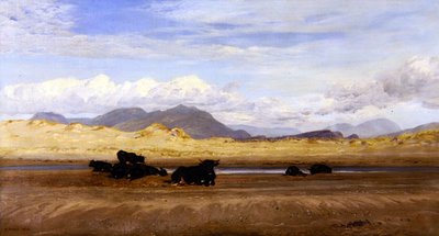 Costa del Galles del Nord, bovini che si crogiolano sulla spiaggia da Henry Moore