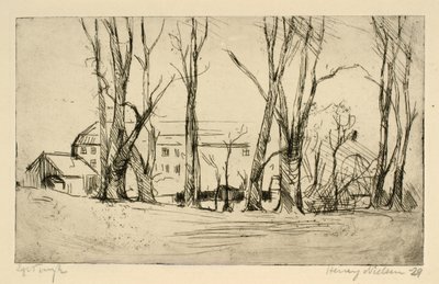 Edificio simile a un ospedale visto tra grandi alberi da Henry Nielsen