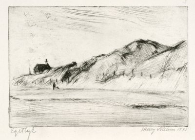 Paesaggio costiero con casa e persona da Henry Nielsen
