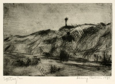 Paesaggio di dune con segnale marittimo da Henry Nielsen