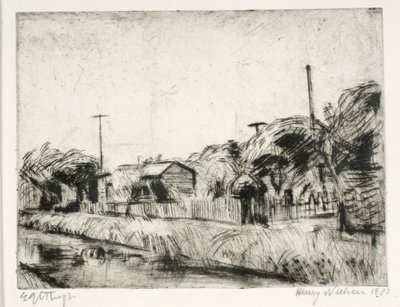 Orti urbani lungo il canale da Henry Nielsen