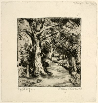 Strada forestale. Riis skov da Henry Nielsen