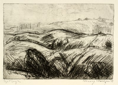 Paesaggio collinare da Henry Nielsen