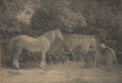 [Vecchio Dapple] da Henry Peach Robinson