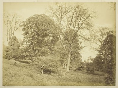 Caccia alla cornacchia da Henry Peach Robinson