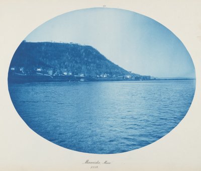 Minneiska, Minn. da Henry Peter Bosse