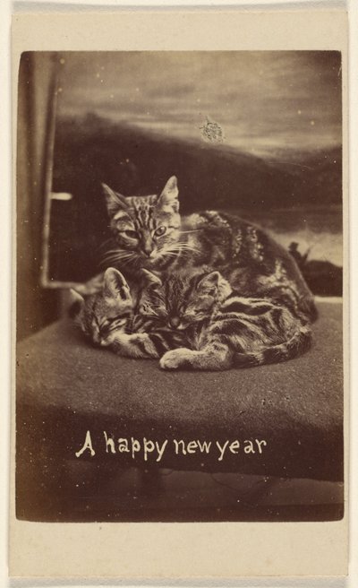 Un felice anno nuovo da Henry Pointer