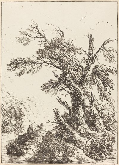 Paesaggio con Vecchi Alberi vicino all