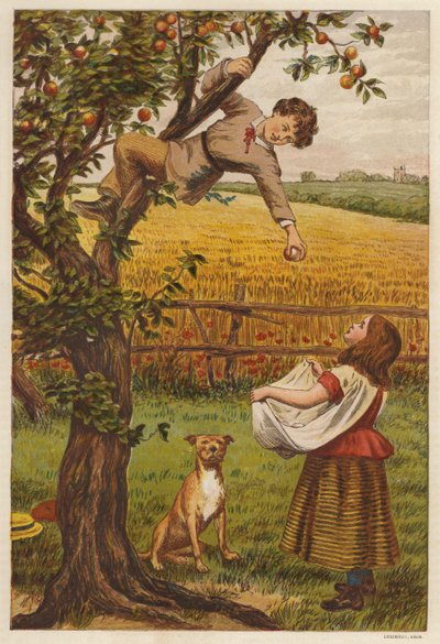 Raccolta di mele da Henry Robert Robertson