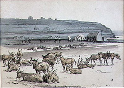 Asini sul campo da golf, illustrazione da 