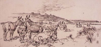 Asini sul campo da golf, illustrazione da 