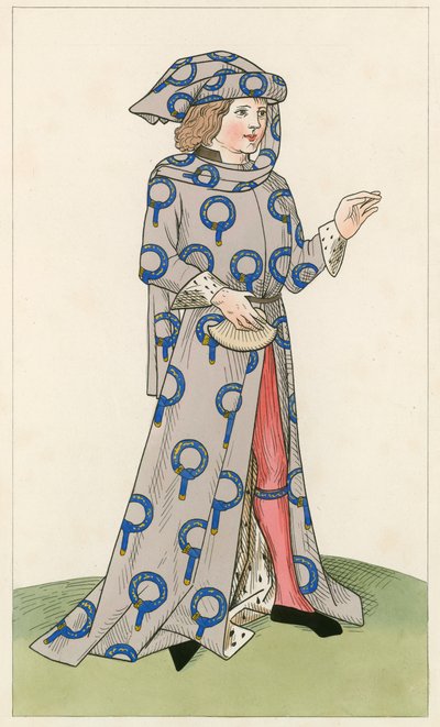 Un cavaliere della Giarrettiera da Henry Shaw