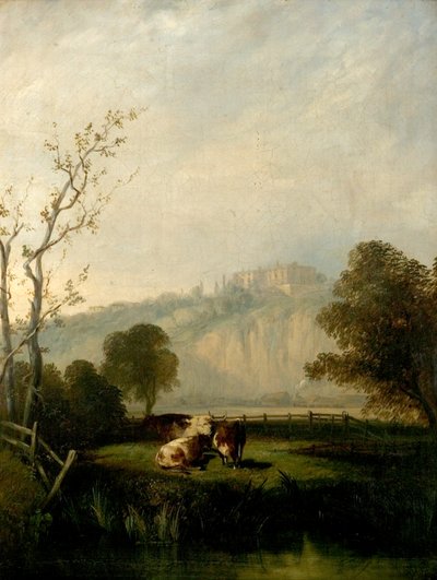 Prati di Nottingham, 1847 da Henry Smyth