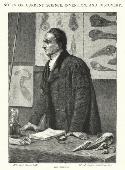 Il professore da Henry Stacey (after) Marks