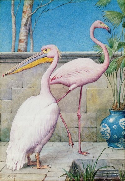 Pellicano e Fenicottero da Henry Stacey Marks