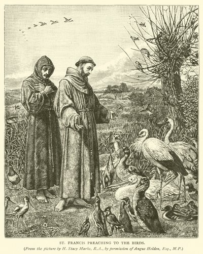 San Francesco che predica agli uccelli da Henry Stacey Marks