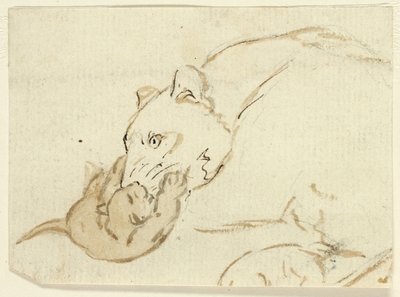 Cinque schizzi di leoni: Leonessa con cucciolo da Henry Stacy Marks