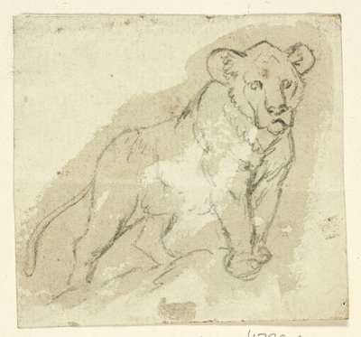 Cinque schizzi di leoni: Cucciolo in piedi da Henry Stacy Marks