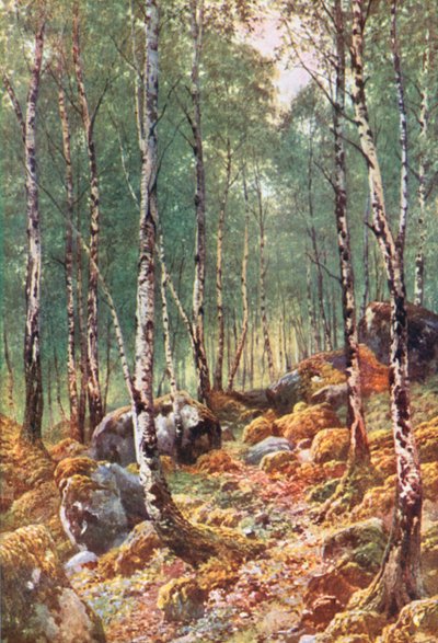  da Henry Sutton Palmer