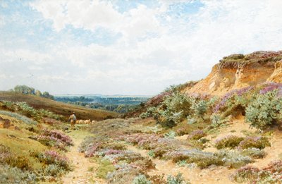 Erica su una brughiera del Surrey da Henry Sutton Palmer