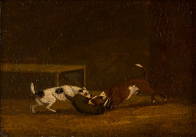 Due terrier che cacciano un tasso da Henry Thomas (follower of) Alken