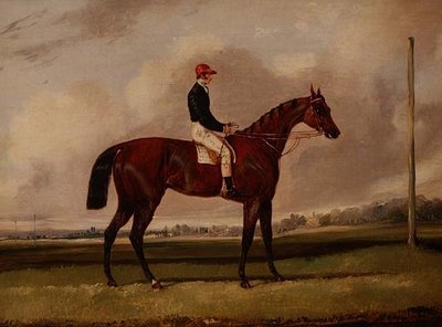 Cavallo da corsa baio con fantino su un ippodromo da Henry Thomas Alken