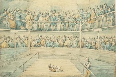 Combattimento di cani al Westminster Pitt da Henry Thomas Alken