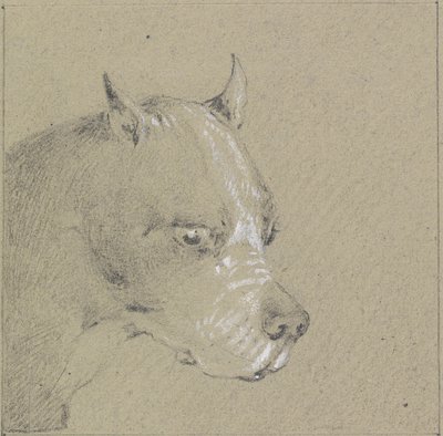 Testa e spalle di un cane boxer da Henry Thomas Alken