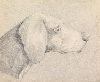  da Henry Thomas Alken