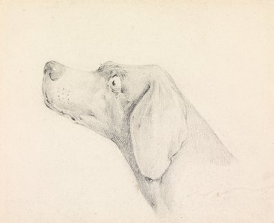 da Henry Thomas Alken