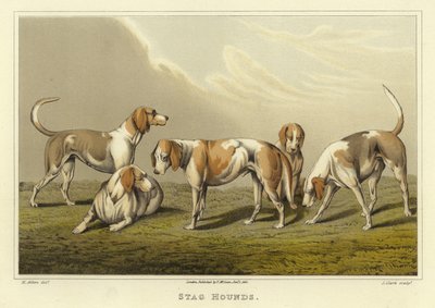 Cani da caccia (cromolitografia) da Henry Thomas Alken