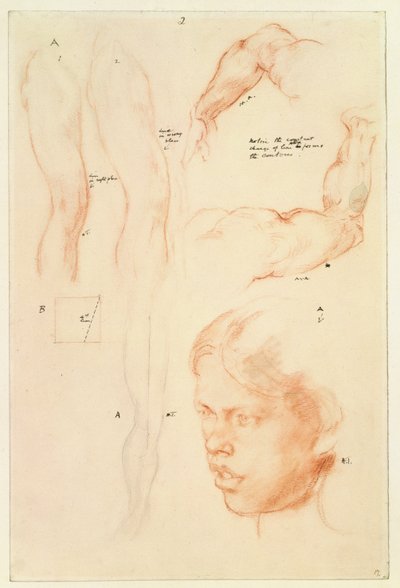Dimostrazione Annotata: Disegni e Studio della Testa di una Ragazza da Henry Tonks